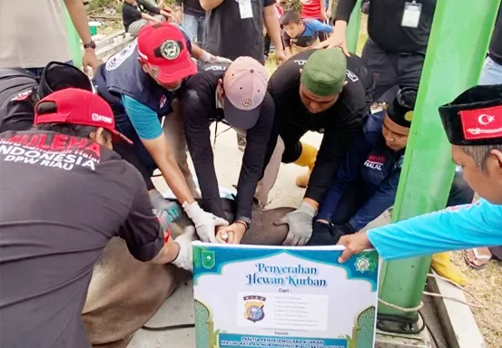 500 Lebih Warga Terima Daging Kurban Masjid Raya An-Nur, Zul Ikromi: Semoga Semakin Mempererat Ukhuwah
