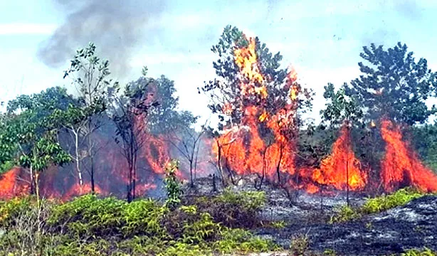 18 Hotspost Terdeteksi di Riau, Suhu Bisa Tembus 35 Derajat Celsius Meski Ada Potensi Hujan