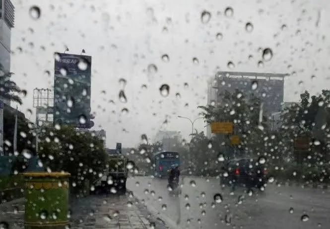 BMKG Prakirakan Hujan Guyur Hampir Seluruh Riau, Warga Diminta Waspadai Cuaca Ekstrem